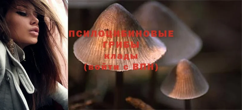 ОМГ ОМГ вход  Ува  Галлюциногенные грибы Magic Shrooms 